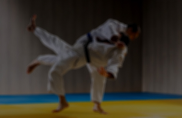 Yetişkin/Genç Judo